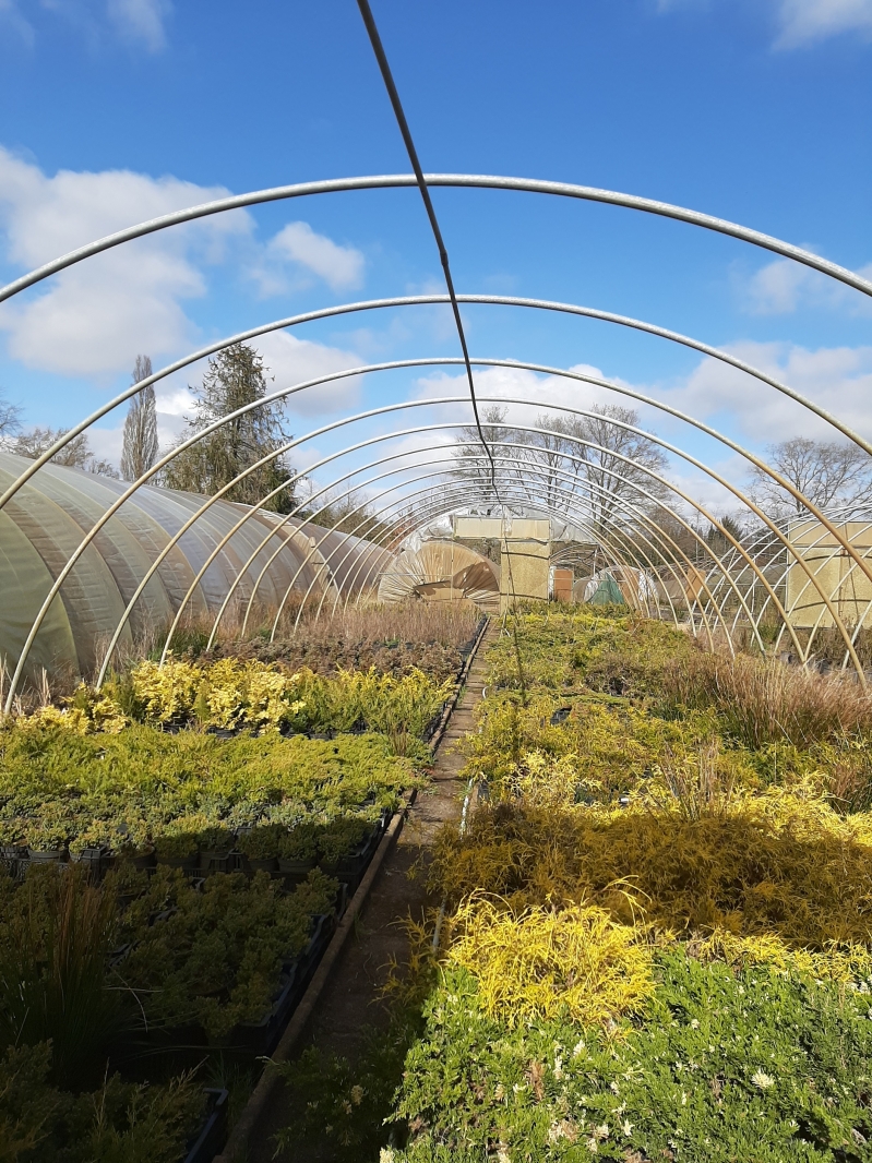 Folienhäuser Poppen 25m Lang x 8,50 breit