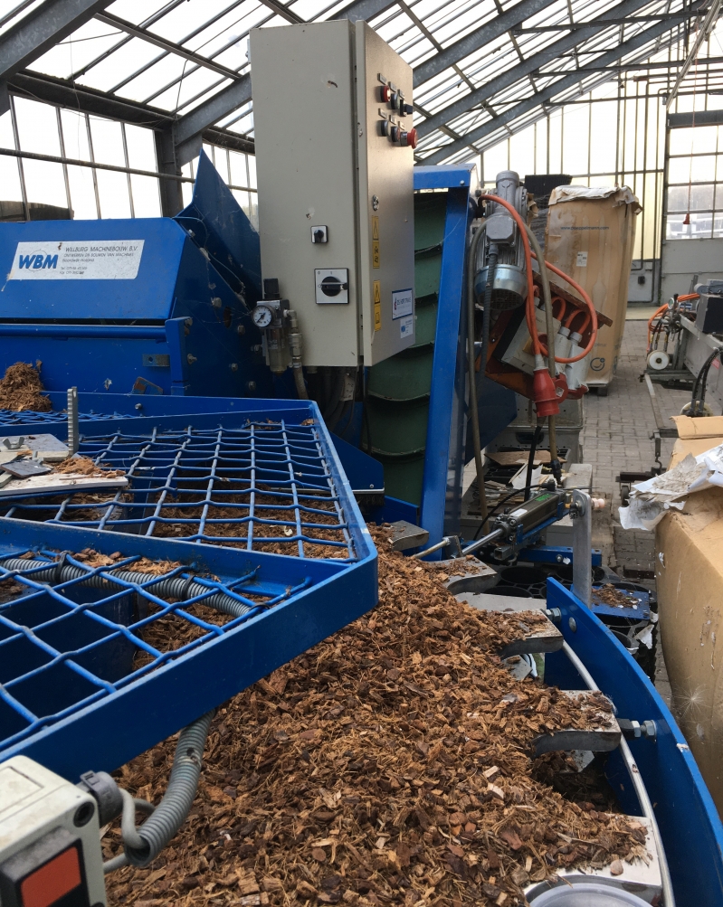WBM Orchideen Topfmaschine