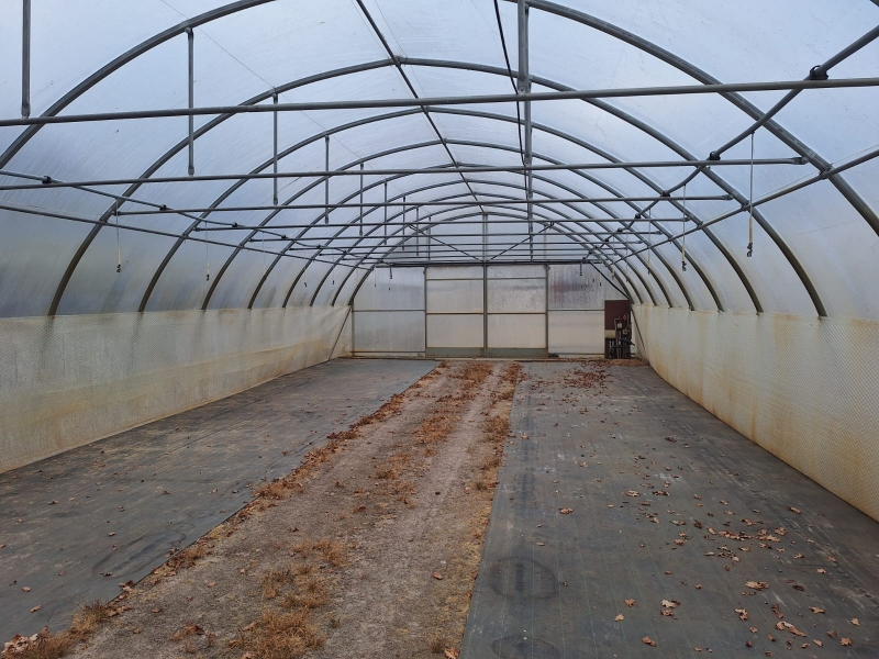 Folienhaus Richel 3 Stück