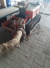Ballenstecher Yanmar