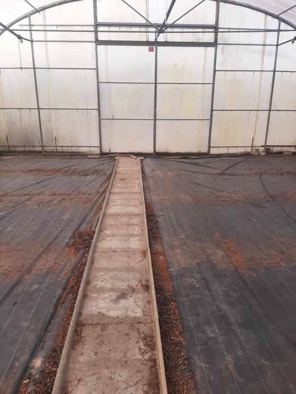 Sollte Folientunnel Länge 65,50m x Breite12m