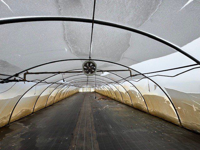 Folientunnel