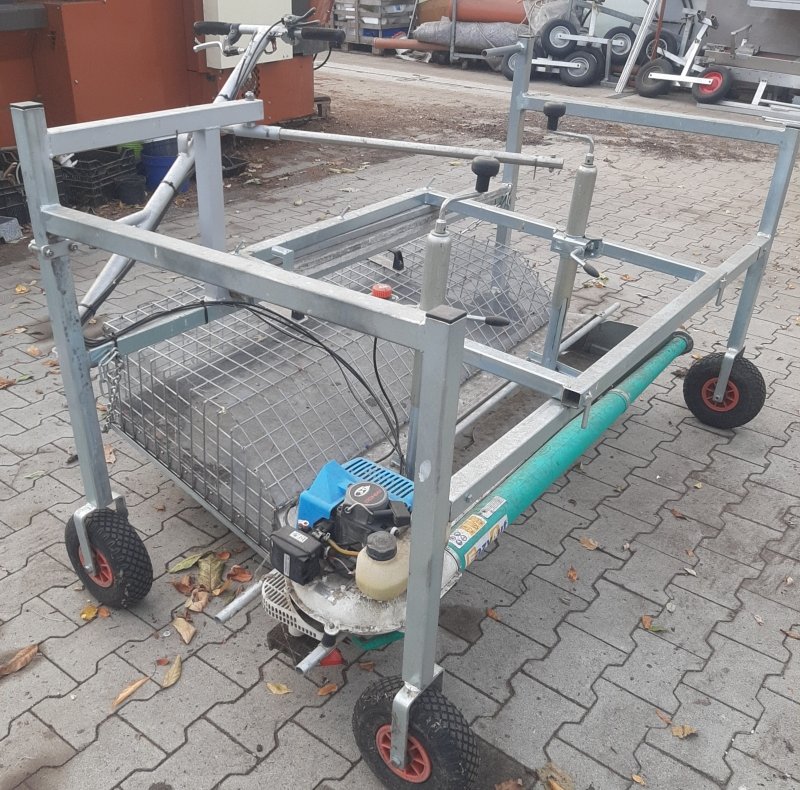 Bild 1