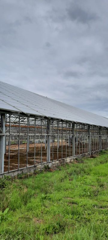 Photovoltaik   auf Gewächshäuser