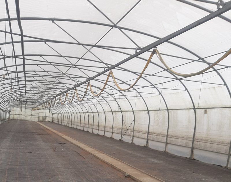 Stolte Folientunnel mit Seitenlüftung 74m lang x 9,50